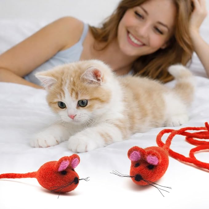 Glaciart One Felt Mouse Cat Toy – Soft Fuzzy Enrichment 100% Natural Wool - Interactive Catnip Play Cat Toy Set - Safe for Pets, Non-AZO Colored Dyes - 42” Long