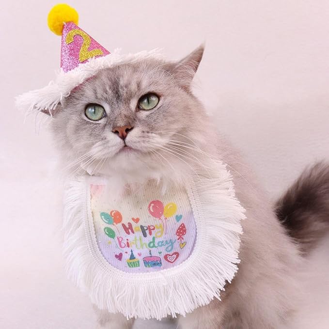 Cat Birthday Party Supplies, Pink Girl Cat Kitten Birthday Hat with Numbers & Gradient Bandana, Birthday Outfit Apparel for Cats and Kittens (Small, Happy Birthday)