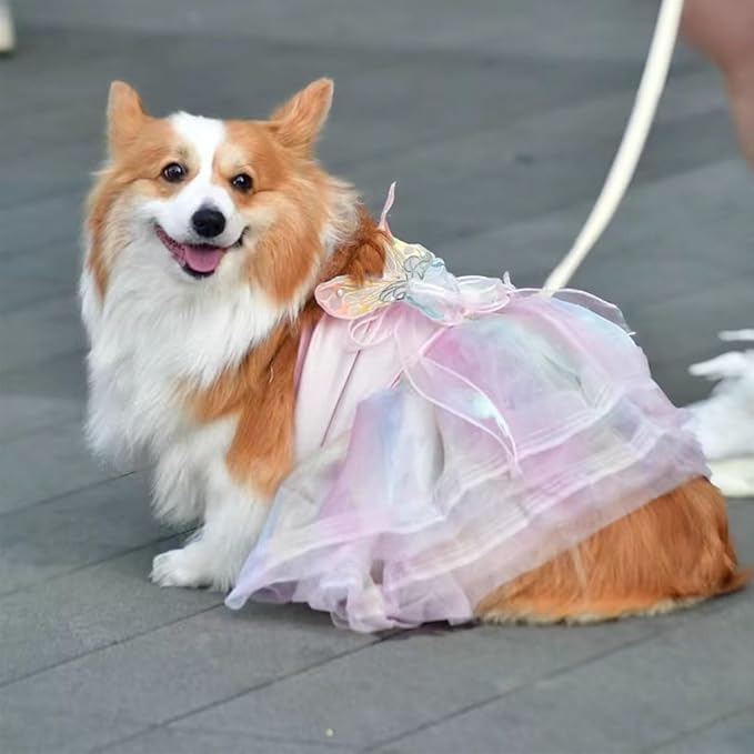 Rainbow Butterfly Princess Pet Skirt with D-Ring - Lace Tutu Set, Suitable for Puppies/Kittens, Chihuahuas, Yorkins, and Pomeranians | Holiday and Daily Wear (Rainbow-Butterfly, Small)