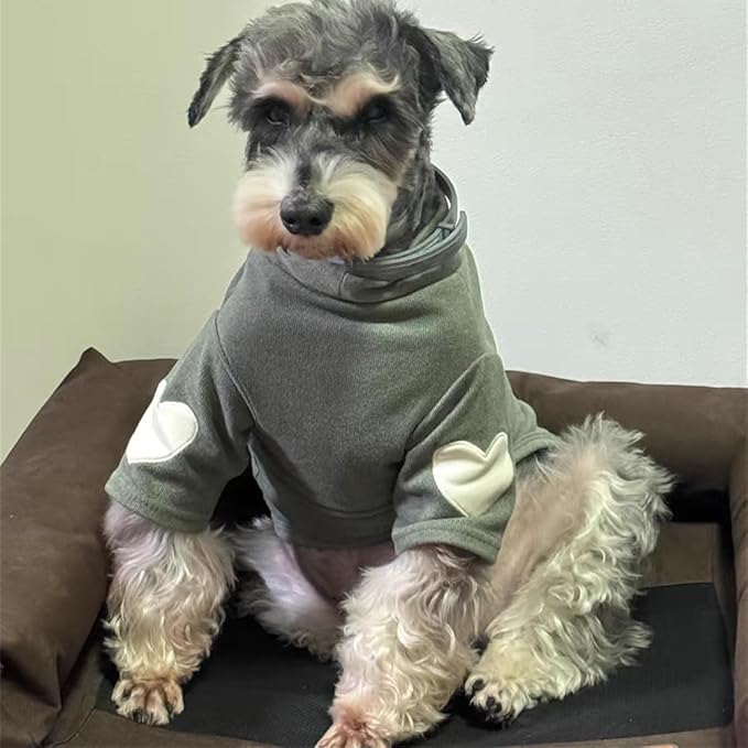 Small Dog Sweaters for Dogs Girls Boys, Heart Love Pattern Puppy Clothes, Puppy Pullover Outfit (Dark Green, Small)