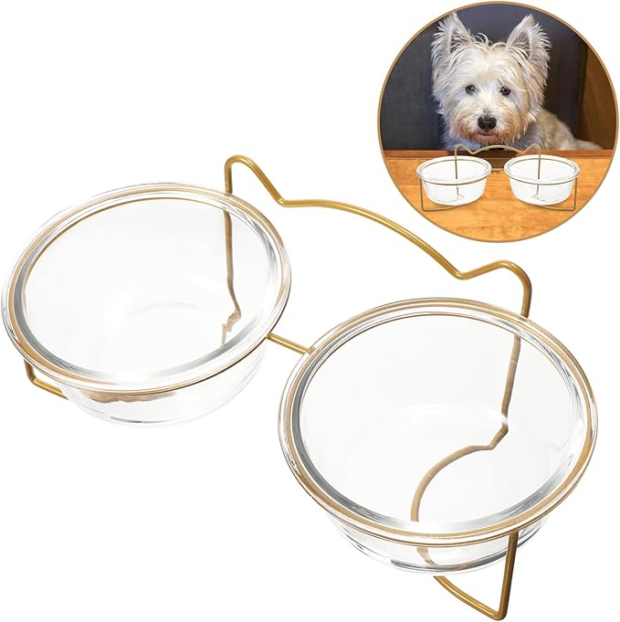GALPADA Elevated Double Pet Feeder Set with Ceramic Bowls and White Metal Stand, Inclined Raised Cat and Dog Food Bowls for Indoor Feeding and Watering