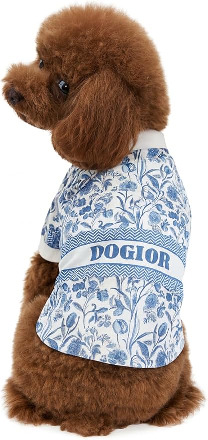 Luxury Designer Dog T Shirt – Cute Puppy Clothes for Small Dogs, Fashion Pet Tee Outfit for French Bulldogs & Chihuahuas, Everything Chic Dog Apparel
