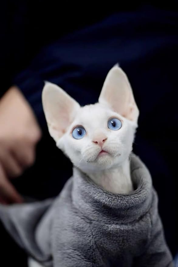 Sphynx Cat Clothes Winter Turtleneck Soft Coral Fleece Cat Clothes Thicken Warm Pajamas Coat for Hairless Cats and Small Cat Apparel with Sleeves (Iron Gray, XXL（12.7-16lbs）)