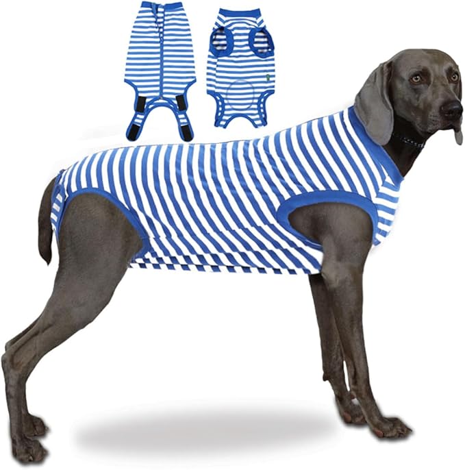 Dog Surgery Recovery Female Spay Suit, Surgeial Recovery Onesie for XXX-Large Female Spaying Recovery,Blue 3XL