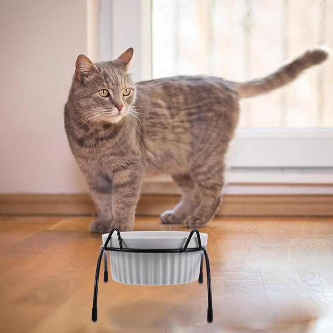 Ceramic Cat Bowl with Raised Black Metal Stand, Whisker-Friendly High Base Pet Food and Water Bowls Set for Cats, Neck Protection Elevated Feeder for Indoor Use