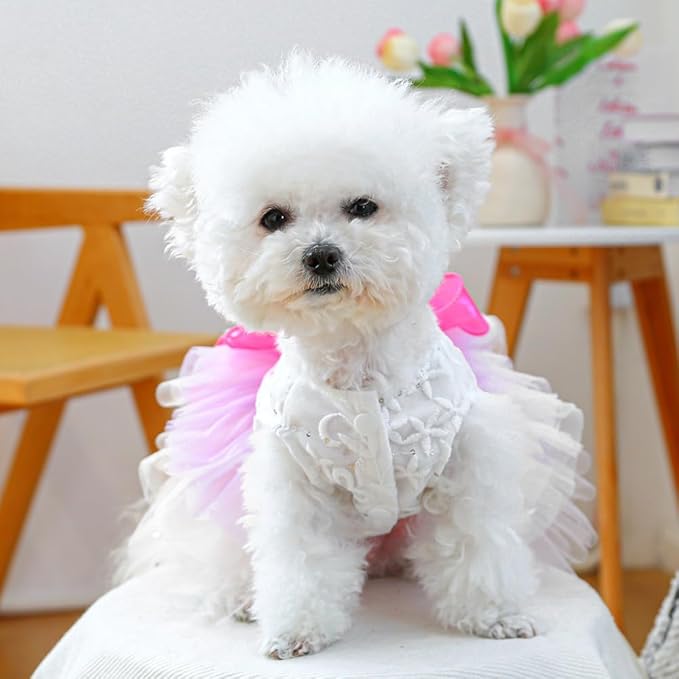 ANIAC Fancy Small Dog Dress, Bow Knot Girl Puppy Clothes, Cat Princess Dress, Spring Dog Clothes Female, Formal Pet Pary Outfit for Wedding Birthday Valentines (Red Bow, Large)