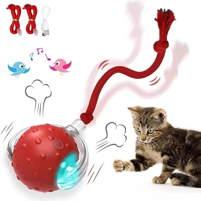 Interactive Cat Ball Toy with 3 Working Modes, Automatic 5-Minute Timer, Stimulate cat Hunting Instincts, Wand Teaser for Cats, Rechargeable, Suitable for All Floor (Red)