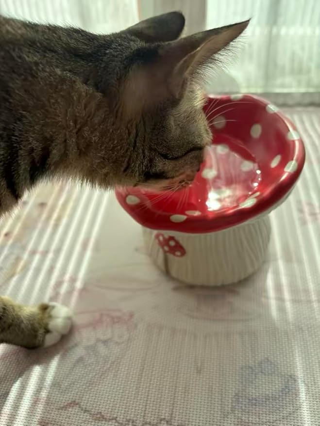 Cat Slow Feeders Set, Raised Ceramic Cat Bowl, Tilted Design, no Black Chin, Gut & Neck-Friendly,Pet Food and Water Bowls (Cute Mushroom Shape)