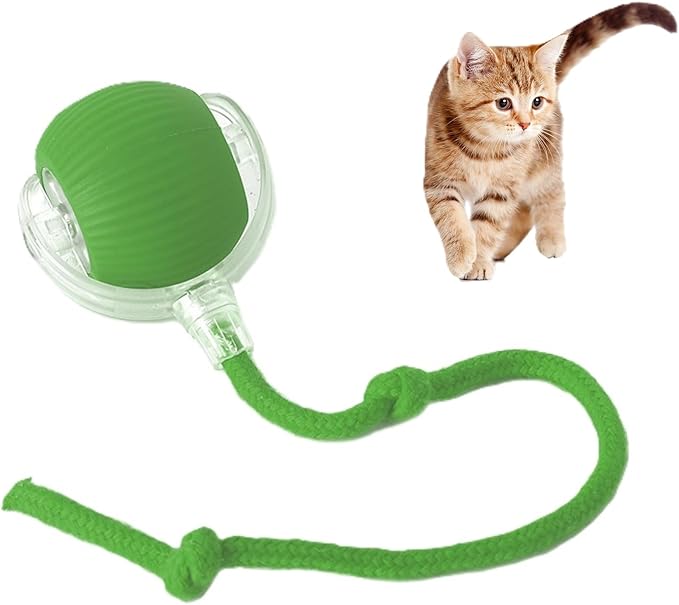 Interactive Cat Toy Ball Automatic Rolling Smart Cat Ball with Tail Motion Activated USB Rechargeable 3 Speed Modes Bird Chirping Durable Silicone Pet Toy for Indoor Cats Multiple Colors (Green)