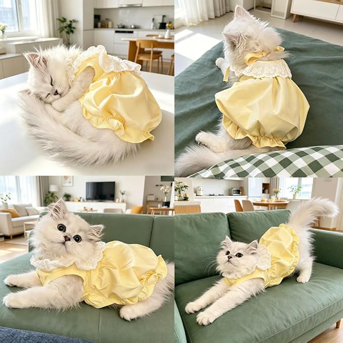Pet Pumpkin Princess Dress for Small Dogs Cats, Breathable Polyester Lace Skirt, Adjustable Strap Sleeveless Puppy Kitten Outfit for Ragdoll Yorkie Maltese, Spring Summer Sweet Costume (Yellow, Large)