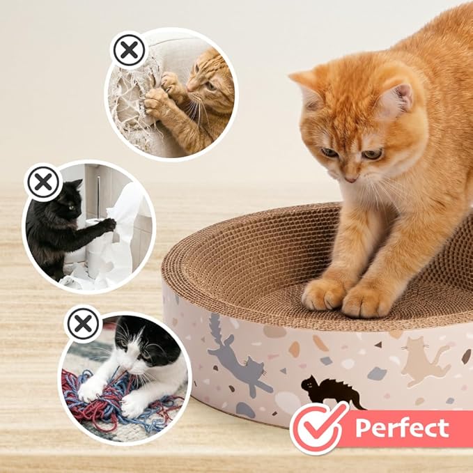 BLUE BAY Cat Scratcher Lounge Bed — 2-in-1 Cardboard Scratch Bowl & Cozy Cat Bed for Indoor Cats, High-Density Corrugated Scratcher, Non-Toxic Recyclable Furniture Protector, All Breeds