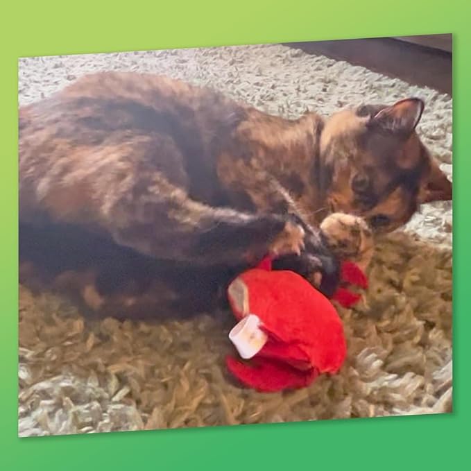 Jellyfish and Crab Toy Bundle | ZOOMIE Refillable Jellyfish and Crab Plush Catnip Toys | High Potency Hand Harvested Fresh Catnip | Soft Plush for Engaging Play