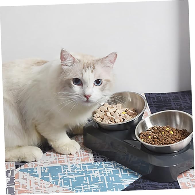ERINGOGO Adjustable Stainless Steel Cat Food Bowl Set, Slant Raised Pet Feeder with Tilted Dual Bowls for Feeding and Watering, Suitable for Indoor Cats and Small Pets