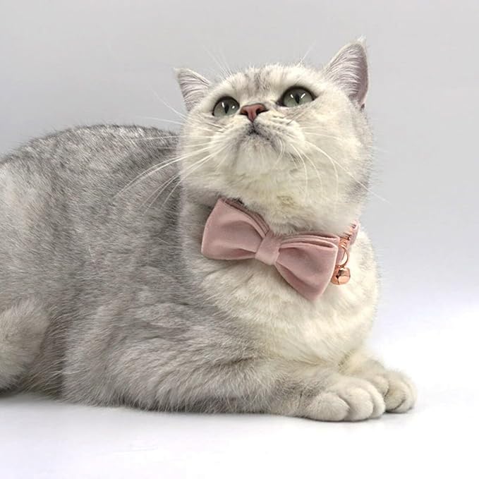 Personalized Cat Collar with Bell, Engraved Text and Icon, Matching Bow Tie Option, Fancy Velvet Pet Collar with Metal Buckle, Options, Custom Gift for Kitten