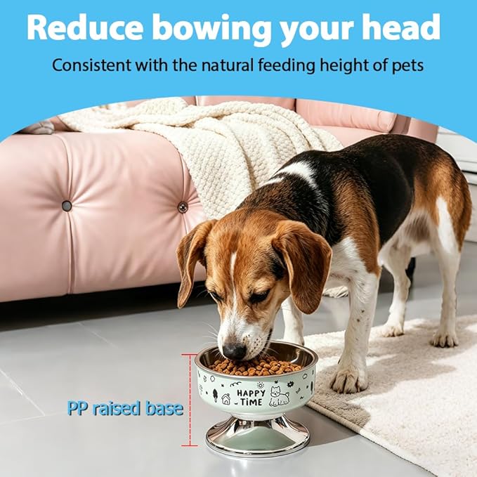 Stainless Steel Cat Bowl, Cute Cat Dish with Non-Slip Base, Large Diameter Pet Feeder Tool for Cats/Kittens/Dogs