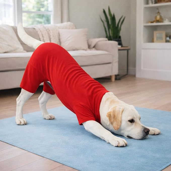 Lovelonglong Dog Full Bodysuit – Stretchy Yoga Fabric 4-Leg Dog Pajamas, Breathable & Lightweight Dog Onesie for Indoor & Outdoor, Shedding Control & Travel Wear