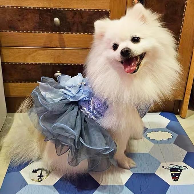 ANIAC Blue Cat Wedding Dress with Bow Knot Dog Wedding Outfit Formal Puppy Clothes for Girl Small Dog Luxury Pet Party Dress for Kitten Chihuahua Yorkie Pomeranian (Blue-2, Small)