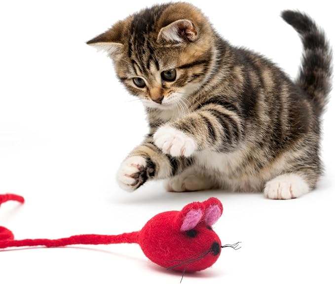 Glaciart One Felt Mouse Cat Toy – Soft Fuzzy Enrichment 100% Natural Wool - Interactive Catnip Play Cat Toy Set - Safe for Pets, Non-AZO Colored Dyes - 42” Long