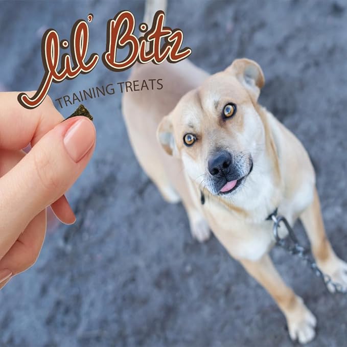 Soft & Chewy Training Treats for Dogs, Bite Size Reward Treats for Training & Positive Reinforcement, Grain Free Dog Treats Made with Real Beef, Hickory Smoked Beef Flavor, 6 Pack (4 oz Each)