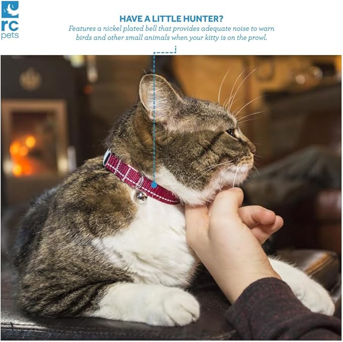 RC Pet Products Primary Collection Kitty Breakaway Collar, Red, 1/2"