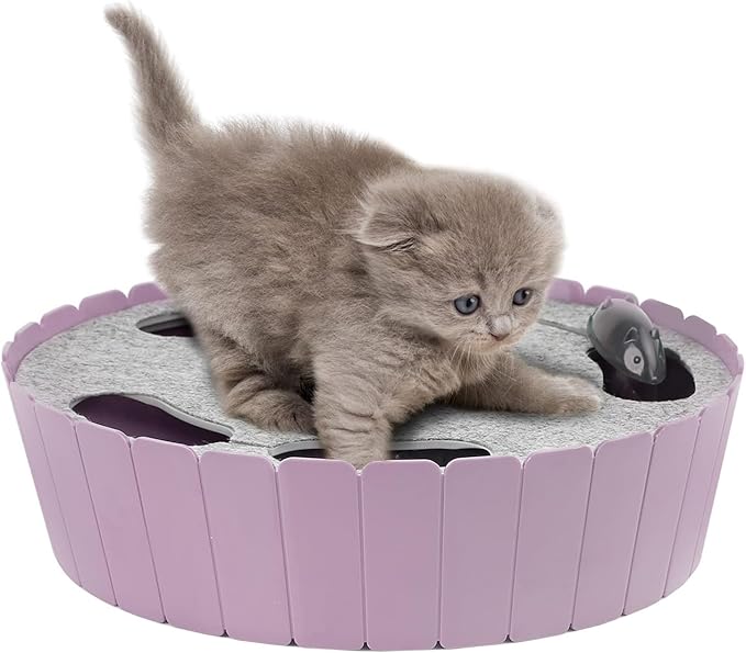 Pawaboo Interactive Cat Toy with Running Mouse, Electronic Motion Cat Toy Automatic Teaser for Indoor Cats, Pop and Play Hide Seek Cats Toys Hunting Mouse for Pet Kitten Play Fun Exercise, Purple