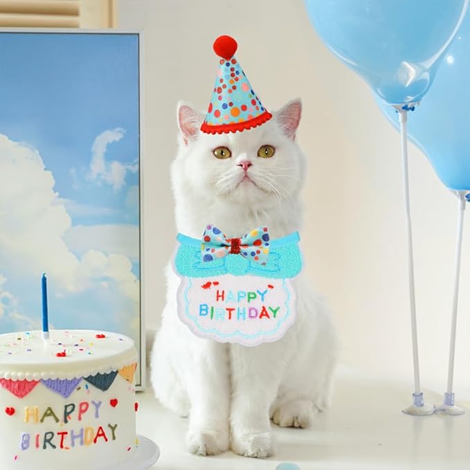 Cat Birthday Party Supplies, Girl Boy Cat Kitten Birthday Bandana Hat Numbers Decorations Outfits Set, Lightblue