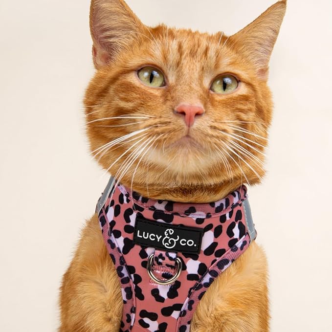 Lucy & Co. Wild Side Step-in Cat Harness & Leash Bundle – Reflective, Breathable & Adjustable Harness for Cats, Kittens & Small Dogs, Lightweight & Secure and Dual Leash Clips – Large
