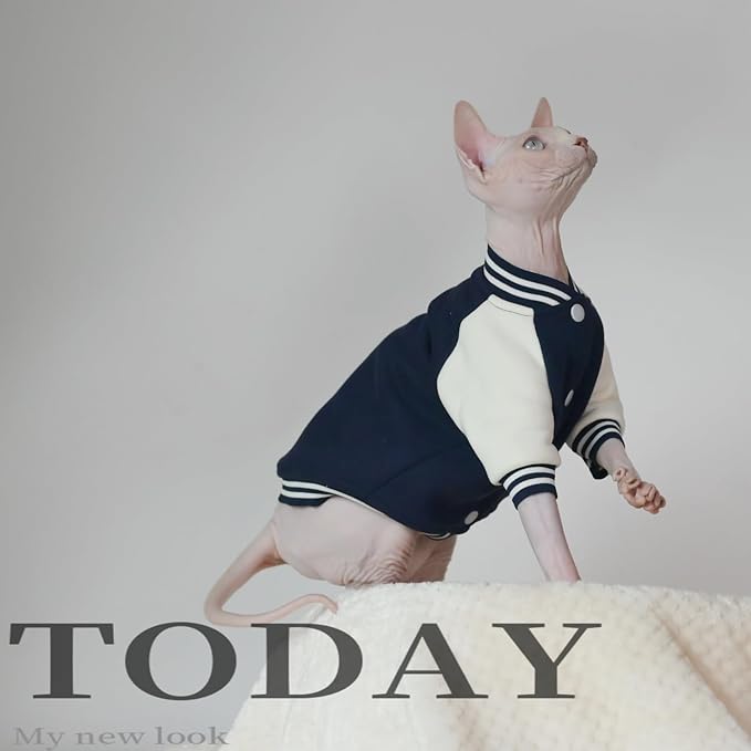 Fashion Warm Soft Thick Cat Winter Clothing, Soft Baseball Style Shirt for Sphynx, Devon, Cornish, Kitten, Hairless, Abyssinian, Small Cats (Blue, Small)