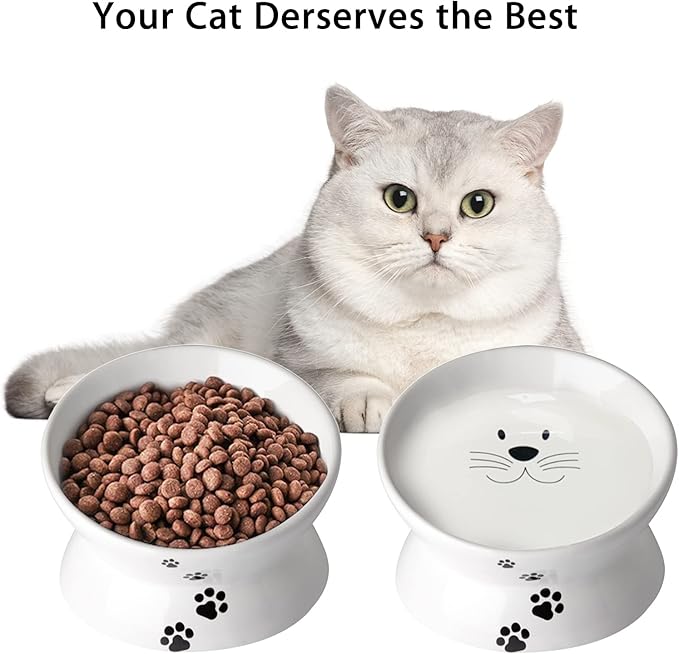 Cat Food Bowls, 10 OZ Elevated Cat Bowls for Cats and Small Dogs, Tilted Pet Feeder Bowl with Raised Stand Protect Cat's Spine, Ceramic Cat Water Bowl No-Spill, Stress Free Cat Dish 1pcs