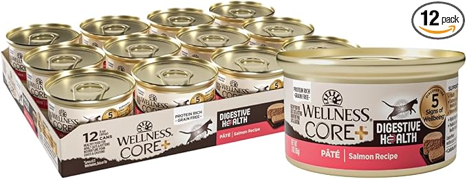 Wellness CORE+ Digestive Health Pate Adult Canned Wet Cat Food, Natural, Protein Rich, Grain Free, Salmon Recipe, 3 oz, Pack of 12 Cans