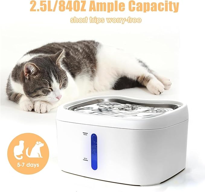 Brrnoo Cat Water Fountain Stainless Steel - 87oz/2.5L Pet Drinking Fountain for Cats Indoor - Automatic Cat Watering Dispenser Bowl with Water Level Window - Quiet for Cats & Dogs (A)