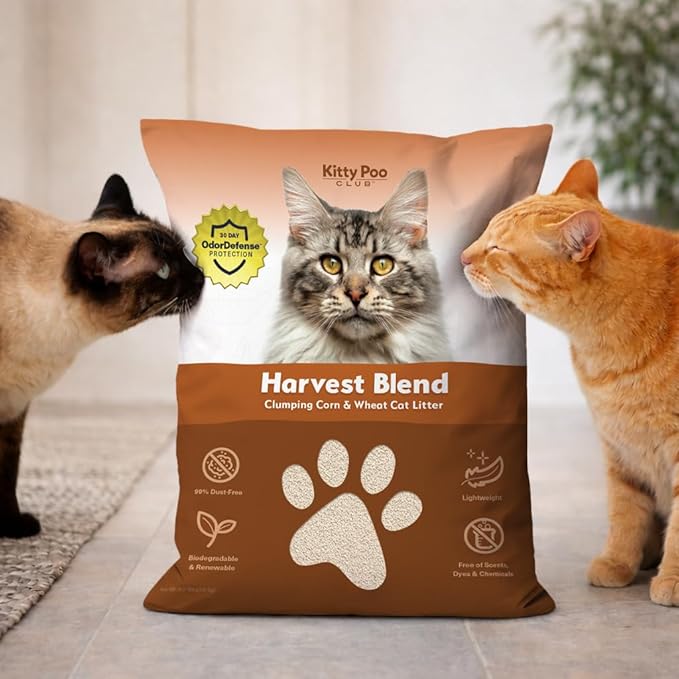 Kitty Poo Club Corn & Wheat Cat Litter – Unscented, Superior Clumping, Maximum Odor Control, 99% Dust-Free, Fine & Lightweight Texture, Non-GMO, Biodegradable & Renewable