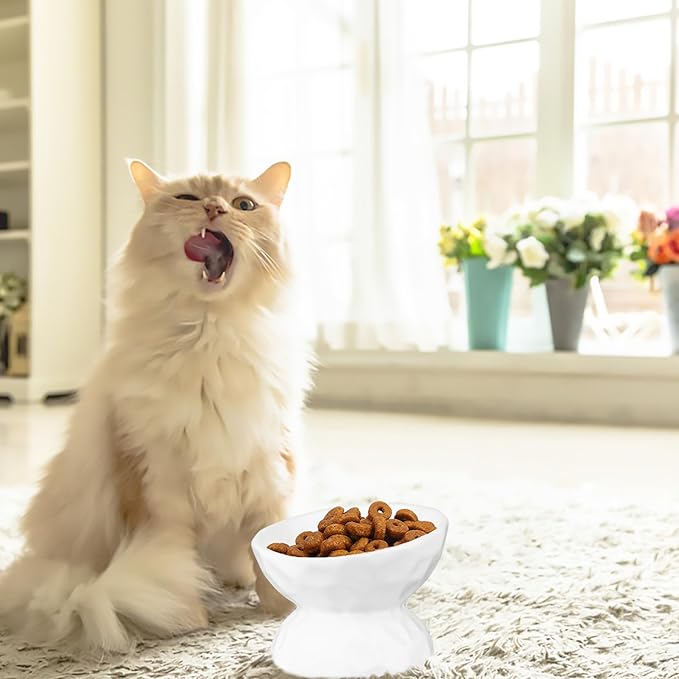 Alasum Elevated Cat Ceramic Feeding Bowl with Neck Protection, Small White Raised Pet Feeder for Kitten, Anti-Spill Design Suitable for Indoor Cat Feeding and Watering