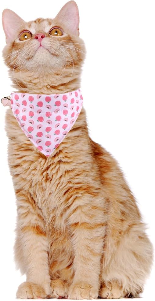 Cat Collar Breakaway with Cute Bandana and Bell Fruits Accessories for Kitty Adjustable Safety