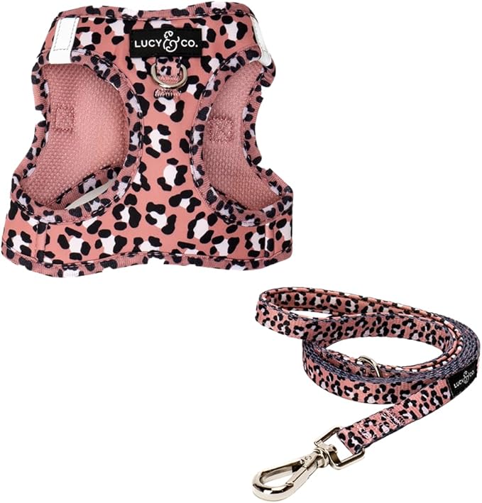 Lucy & Co. Wild Side Step-in Cat Harness & Leash Bundle – Reflective, Breathable & Adjustable Harness for Cats, Kittens & Small Dogs, Lightweight & Secure and Dual Leash Clips – Medium