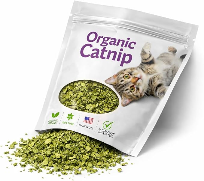 Organic Catnip for Cats USDA Certified Dried Herb Made in USA - 3 oz Total Premium Natural Cat Treats Strong Fresh Loose Leaf Catnip Herbs Resealable Bag Best Single Ingredient Cat Nip Buds Bulk