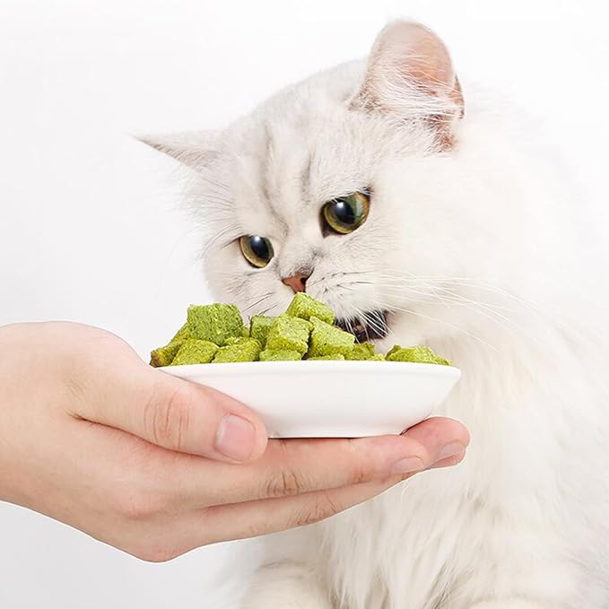 Fun and Entertaining Cat Grass Chewables Wheatgrass Perfect for Indoor Treat 50g Cat Grass Snacks Anti-Hairball Cat Grass for Indoor Cats
