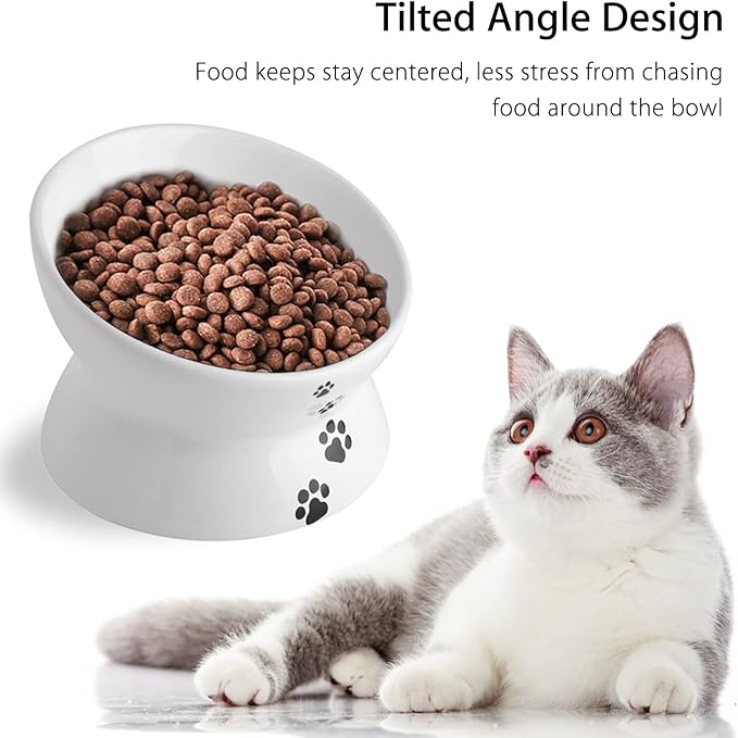 Cat Food Bowls, 10 OZ Elevated Cat Bowls for Cats and Small Dogs, Tilted Pet Feeder Bowl with Raised Stand Protect Cat's Spine, Ceramic Cat Water Bowl No-Spill, Stress Free Cat Dish 1pcs