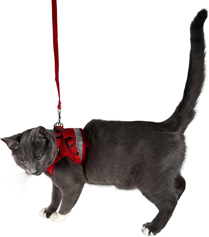Travel Cat Harness and Leash Set - Adjustable Fit Mesh Cat Harness and Reflective Strap - Comfort Walking Vest for Kitten for Outdoor Walking, Hiking (Extra Small, Red)