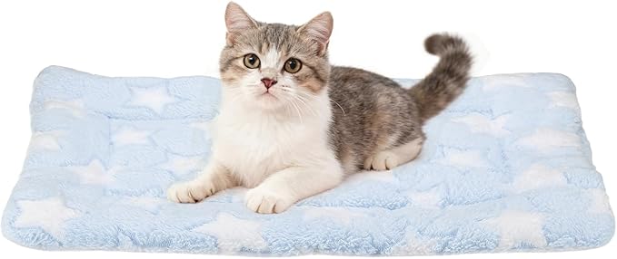 Dog Cat Bed Mat, Soft Coral Fleece Pet Cushion Pad with Cute Stars Print, Warm Washable Pet Bed 19x13 Inches, (Blue), Intended for Medium Small Dog Cat