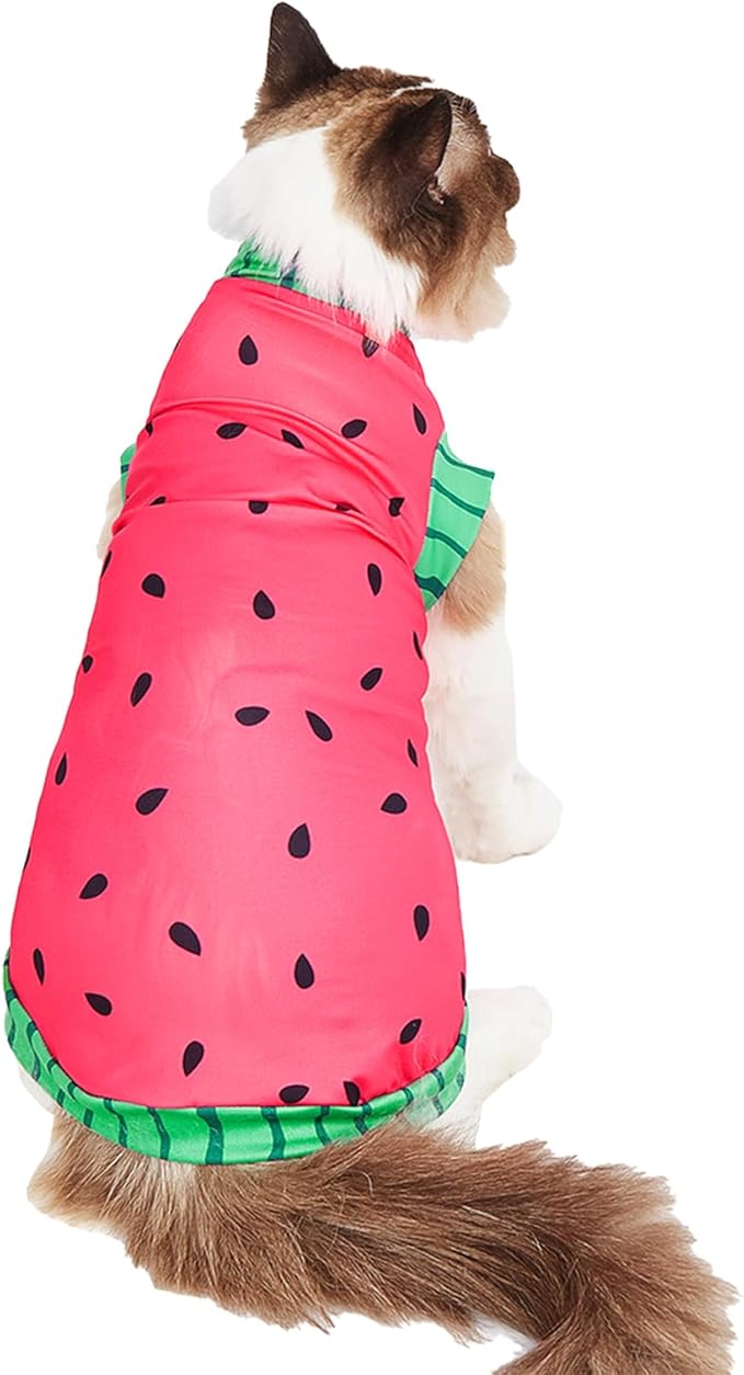 Sphynx Cat Watermelon Shirt &Sun Hat for Summer, Cooling Breathable UPF 50+ Shirt for Cats & Small Dogs Apparel, Shirt and Hat Set for Cats (XS(2lbs))