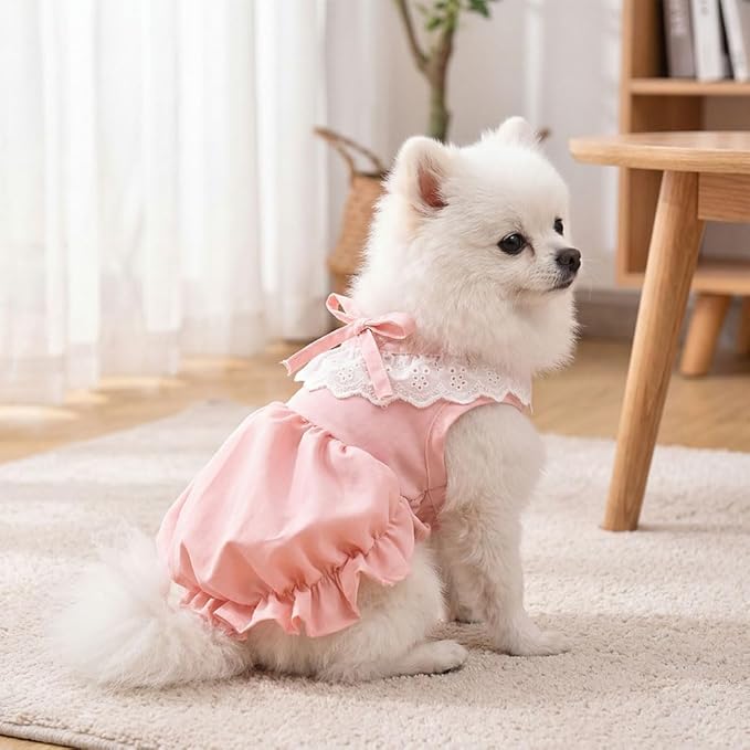Pet Pumpkin Princess Dress for Small Dogs Cats, Breathable Polyester Lace Skirt, Adjustable Strap Sleeveless Puppy Kitten Outfit for Ragdoll Yorkie Maltese, Spring Summer Sweet Costume(Pink, Small)