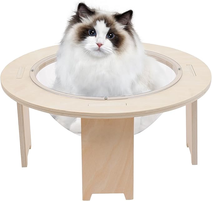 Clear Capsule Cat Bed 44×20 cm, Transparent Acrylic Calming Small Pets Bed with Breathable Holes, Raised Dome Window Lounger for Indoor Kitten Puppy, Stackable Modern Pet Furniture