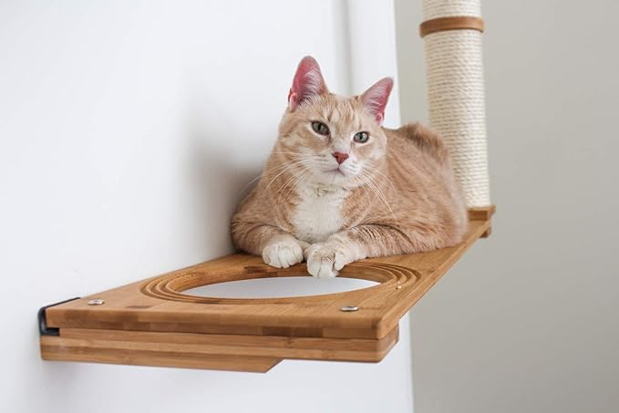 CatastrophiCreations Dakota Set for Cats Multiple-Level Wall Mounted Scratch, Hammock Lounge, Play & Climbing Activity Center Furniture Cat Tree Shelves, Natural/Charcoal Gray