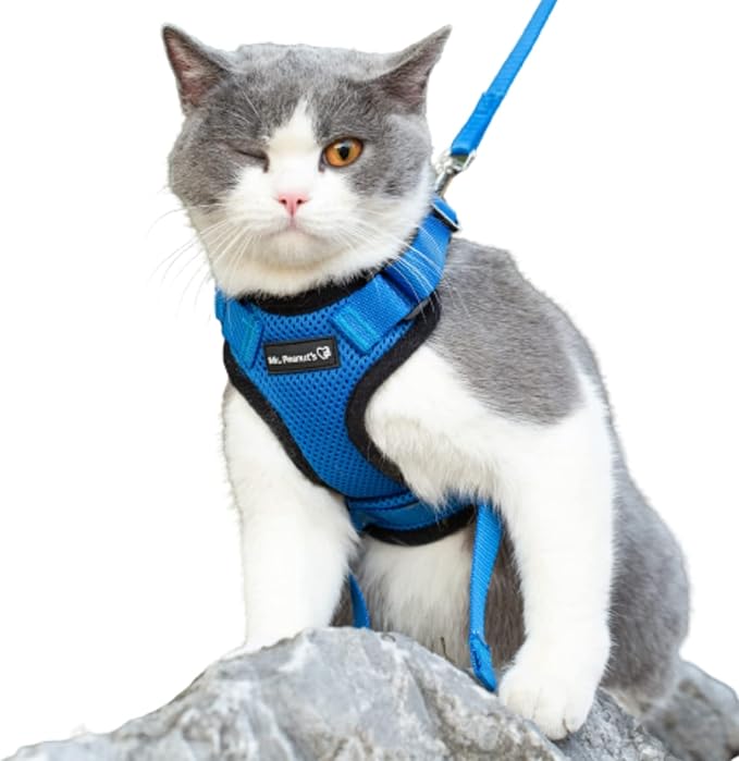 Mr. Peanut's PurrTrek Reflective Cat Harness with Matching Leash (Extra Small, Blue)