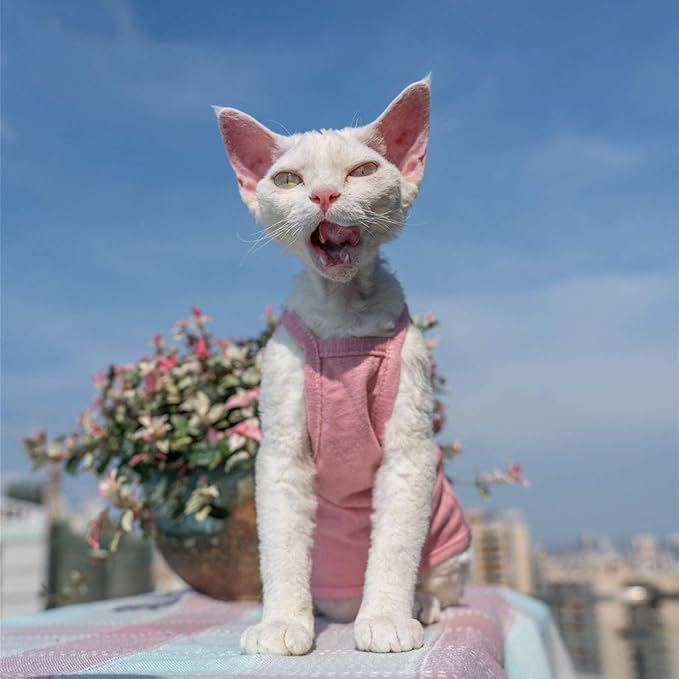 Hairless Cats Solid Cotton Camisole, Breathable Summer Tank Tops for Sphynx, Cornish Rex, Devon Rex, Peterbald, Cat Wear Hairless Cat Clothes Soft Skin-Friendly Cats Apparel Assorted Colors and Sizes
