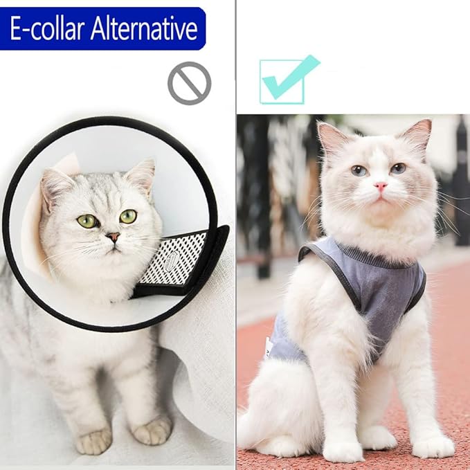 kzrfojy Cat Surgery Recovery Suit Cat Onesie for Cats After Surgery Spay Surgical Abdominal Wound Skin Diseases E-Collar Alternative Wear (Grey-Blue-S)