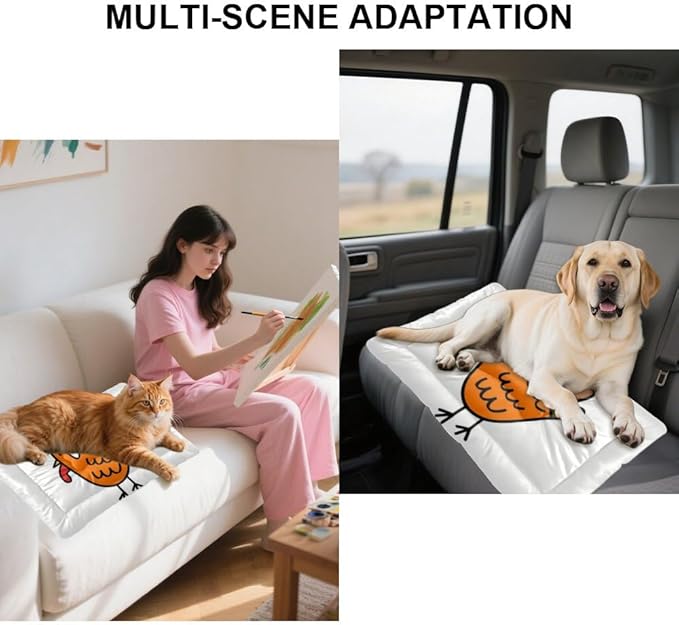 Thanksgiving Craft Turkey Cat Pads Dog Anti- Slip Mat Dog Car Mat Tough Beds Non- Slip Bottom Pet Friendly Furniture Multi- Scenario Cage Gift Printed Big Beds 36× 24 Inch