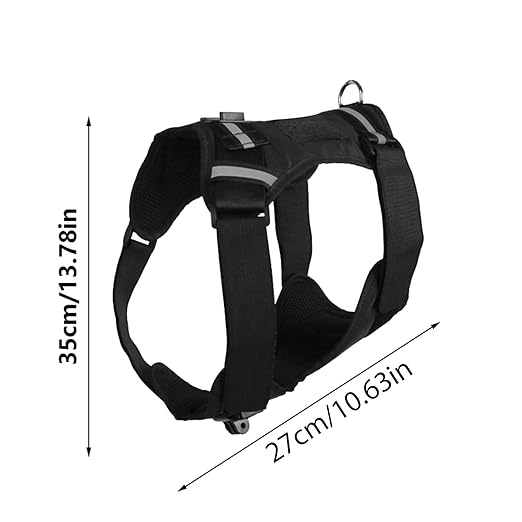 Adjustable Dog Harness Camera Dogs 8-35kg | Capture Perspectives While Playing