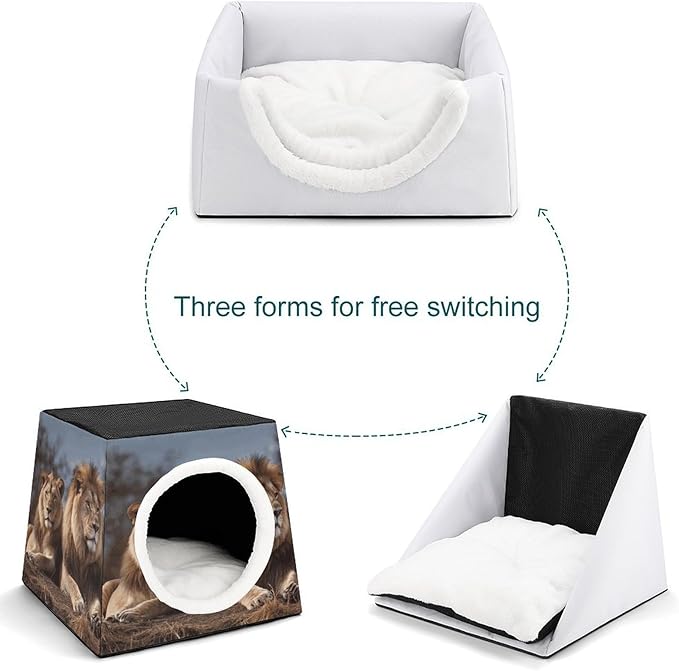 Cat Cave Cat Beds for Indoor Cats Two Lions Foldable Cat Hideaway with Washable Cushion and Non-Slip Base